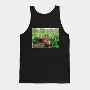 Two pink tulip flowers in the garden Tank Top